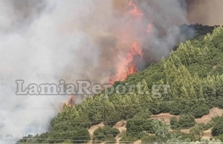 Φωτιά στη Φθιώτιδα: Ενισχύεται η δύναμη της Πυροσβεστικής